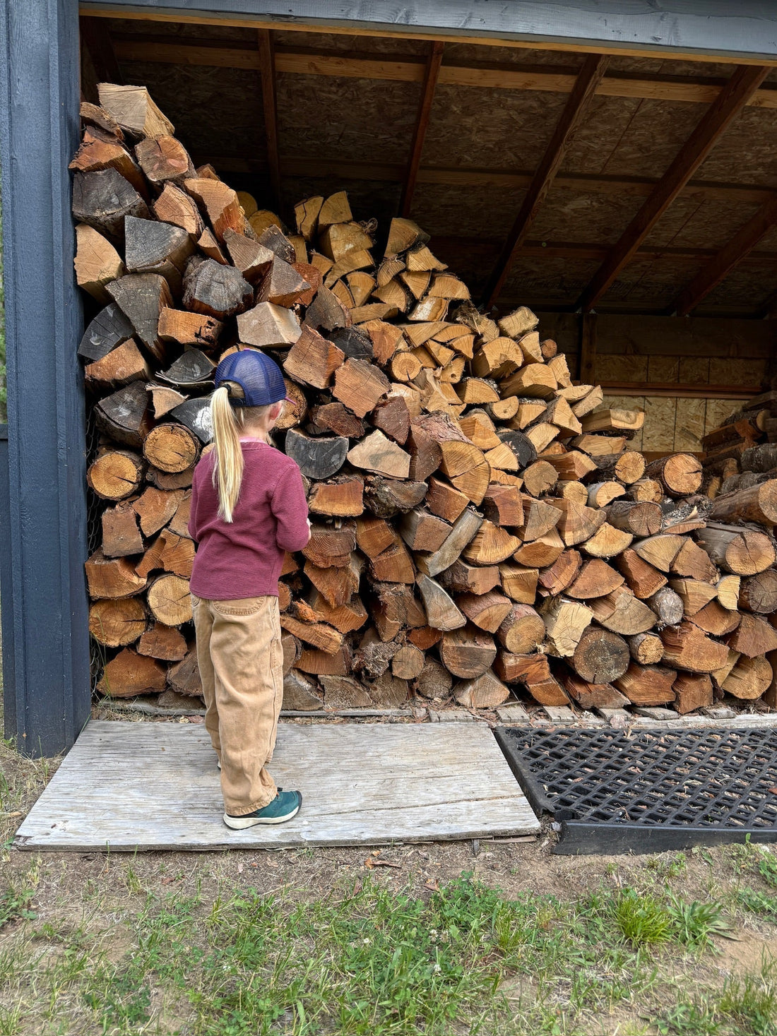 I Had to Borrow Cute Firewood